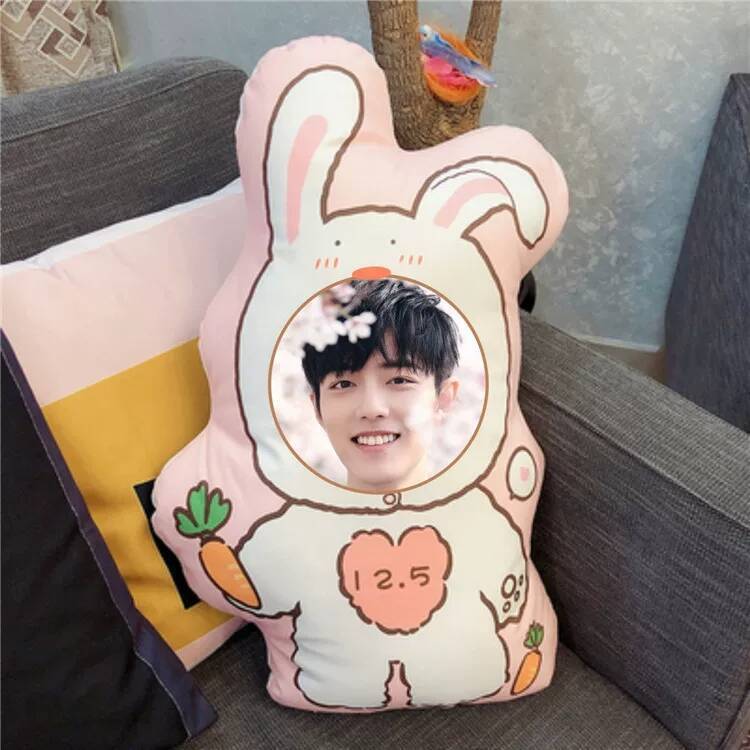 Xiao Zhan Custom Photo DIY Plu - đánh giá và giá Diy Q