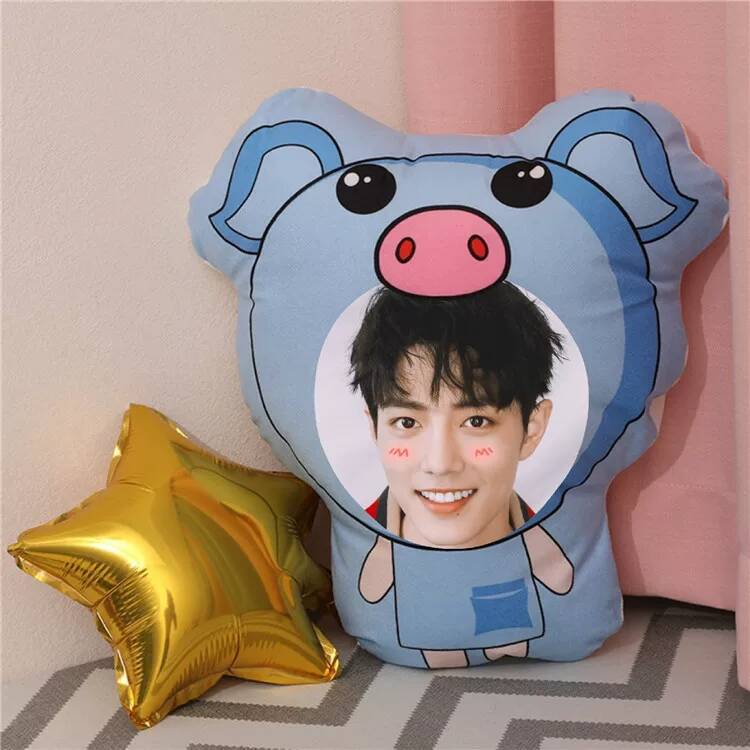 Xiao Zhan Custom Photo DIY Plu - đánh giá và giá Diy Q